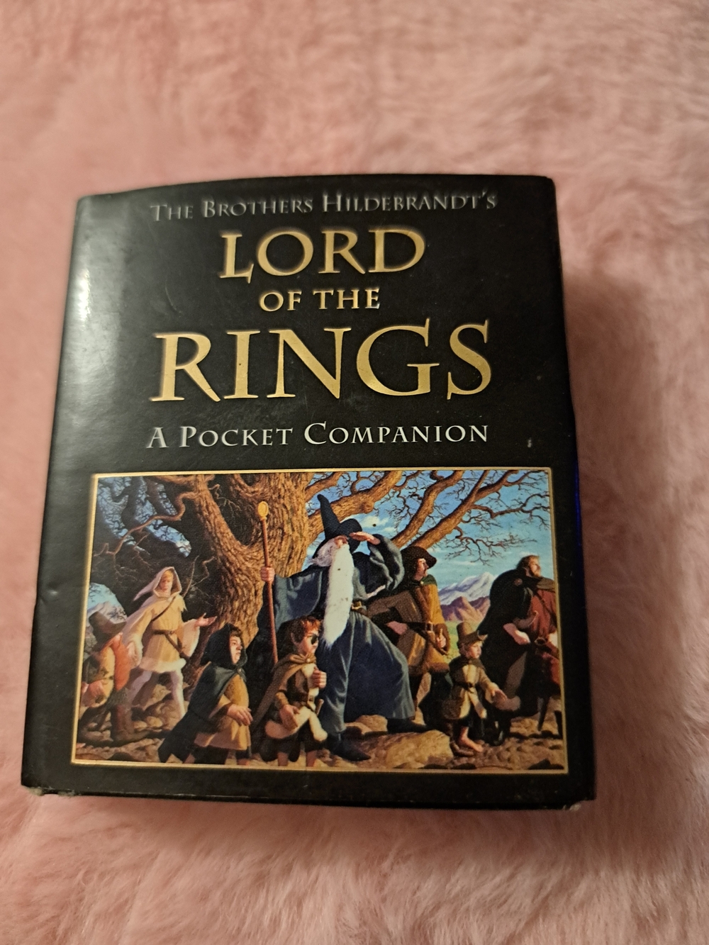 Lord of the Rings Pocket Companion - Black